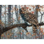 (image for) Wise Owl Counted Cross Stitch Kit